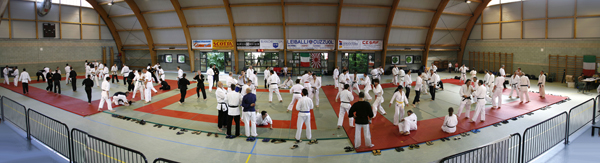 Guarda la foto in HD